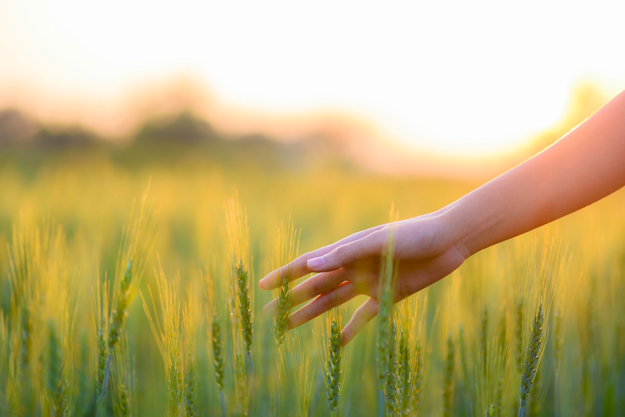 Fertilizer products