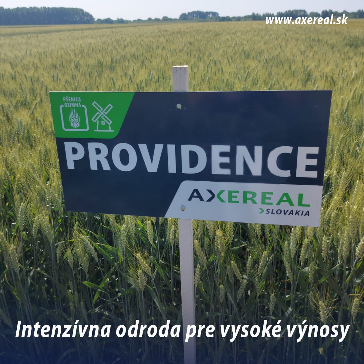 Providence