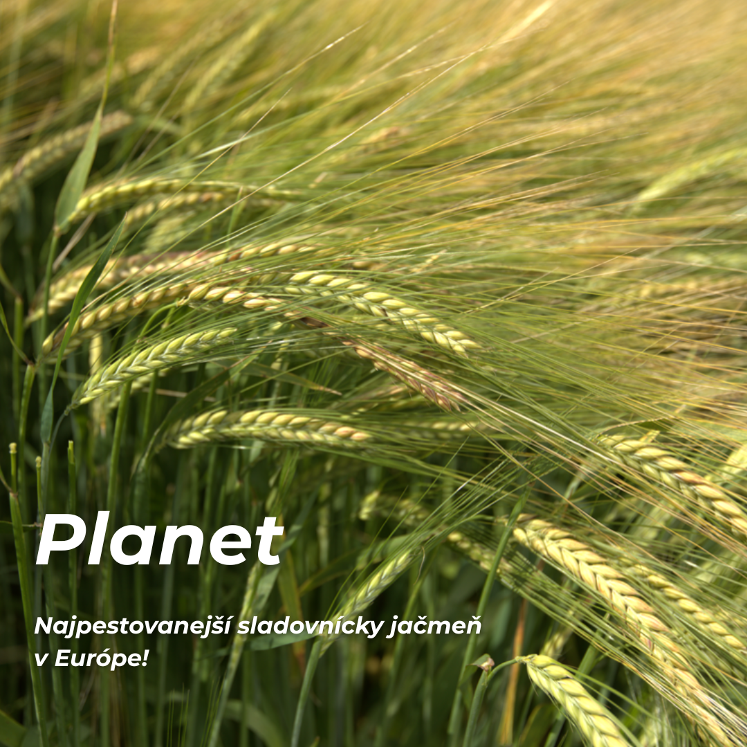 Planet