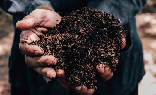 Fertilizer