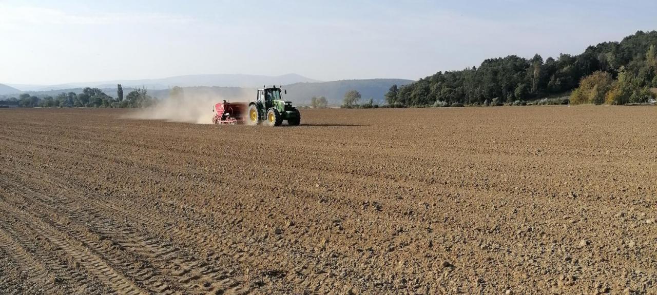 sowing in Slovakia