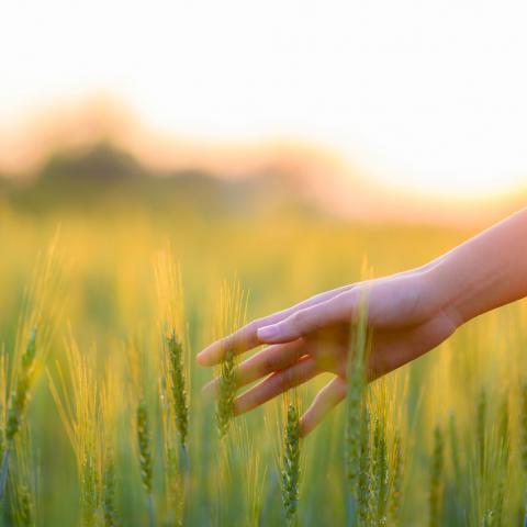 Fertilizer products
