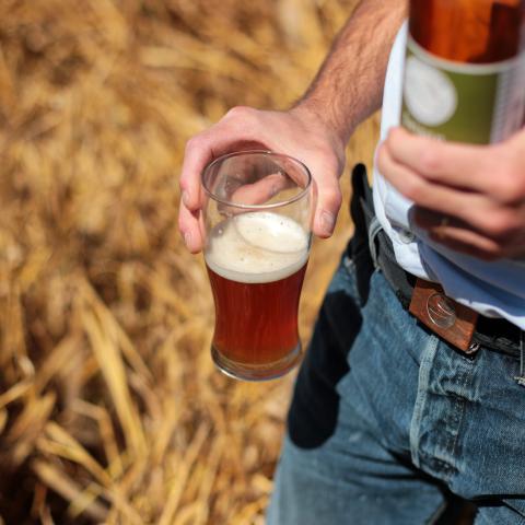 Malting barley