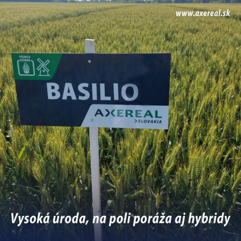 Basilio
