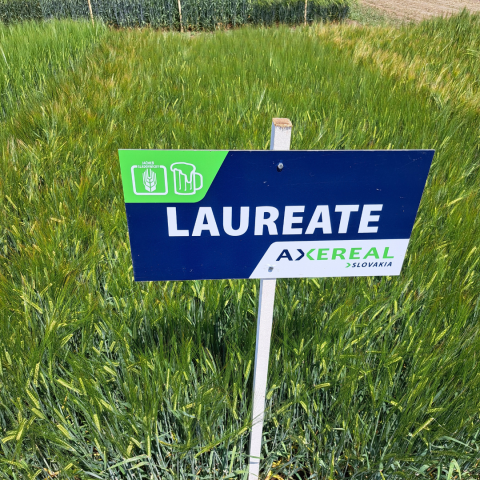 Laureate