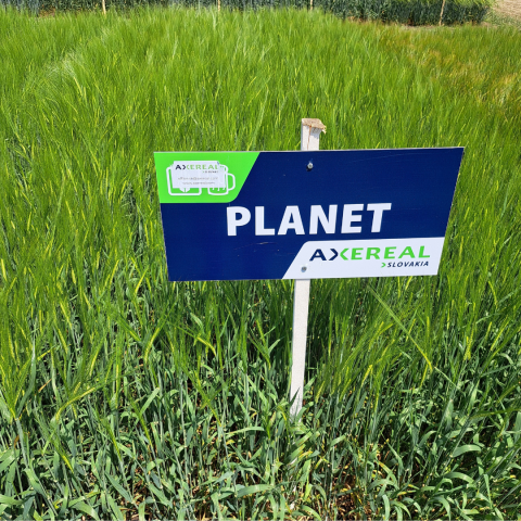 Planet
